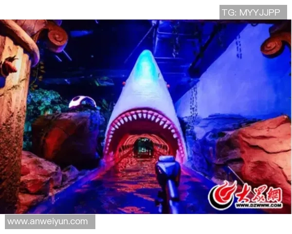 珊瑚海足球：探索热带海域的足球文化与激情之旅