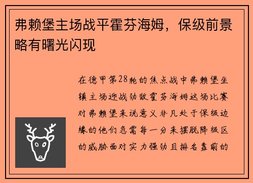 弗赖堡主场战平霍芬海姆，保级前景略有曙光闪现