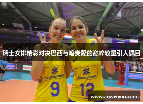 瑞士女排精彩对决巴西与喀麦隆的巅峰较量引人瞩目