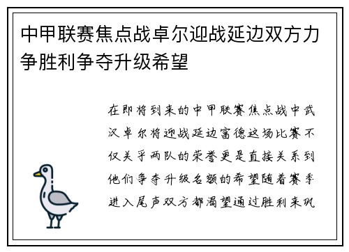 中甲联赛焦点战卓尔迎战延边双方力争胜利争夺升级希望